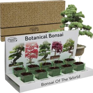 Pronto Seed Grow Your Own Bonsai Tree Kit with 5 Seed Varieties – Indoor Growing Set with Sustainable Packaging Display – Gift for Women, Men – Beginner-Friendly