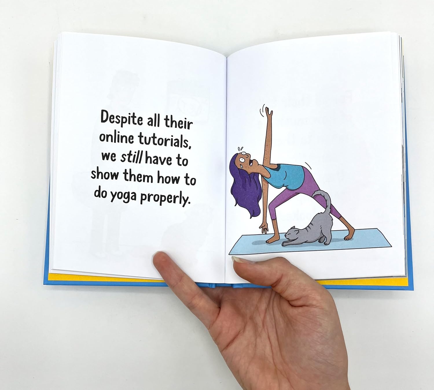 Why Your Cat Thinks You're an Idiot: The Hilarious Guide to All the Ways Your Cat is Judging You - Image 3