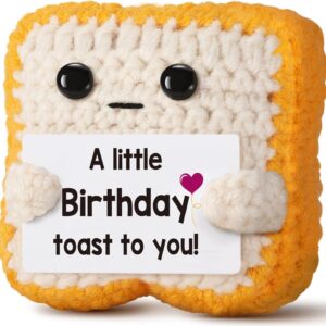 Crochet Toast Birthday Gift – Handmade Funny & Cute Keepsake for Mom, Dad, Friends, Him, Her, Kids, Women, Men – Emotional Positive Fanny Toast