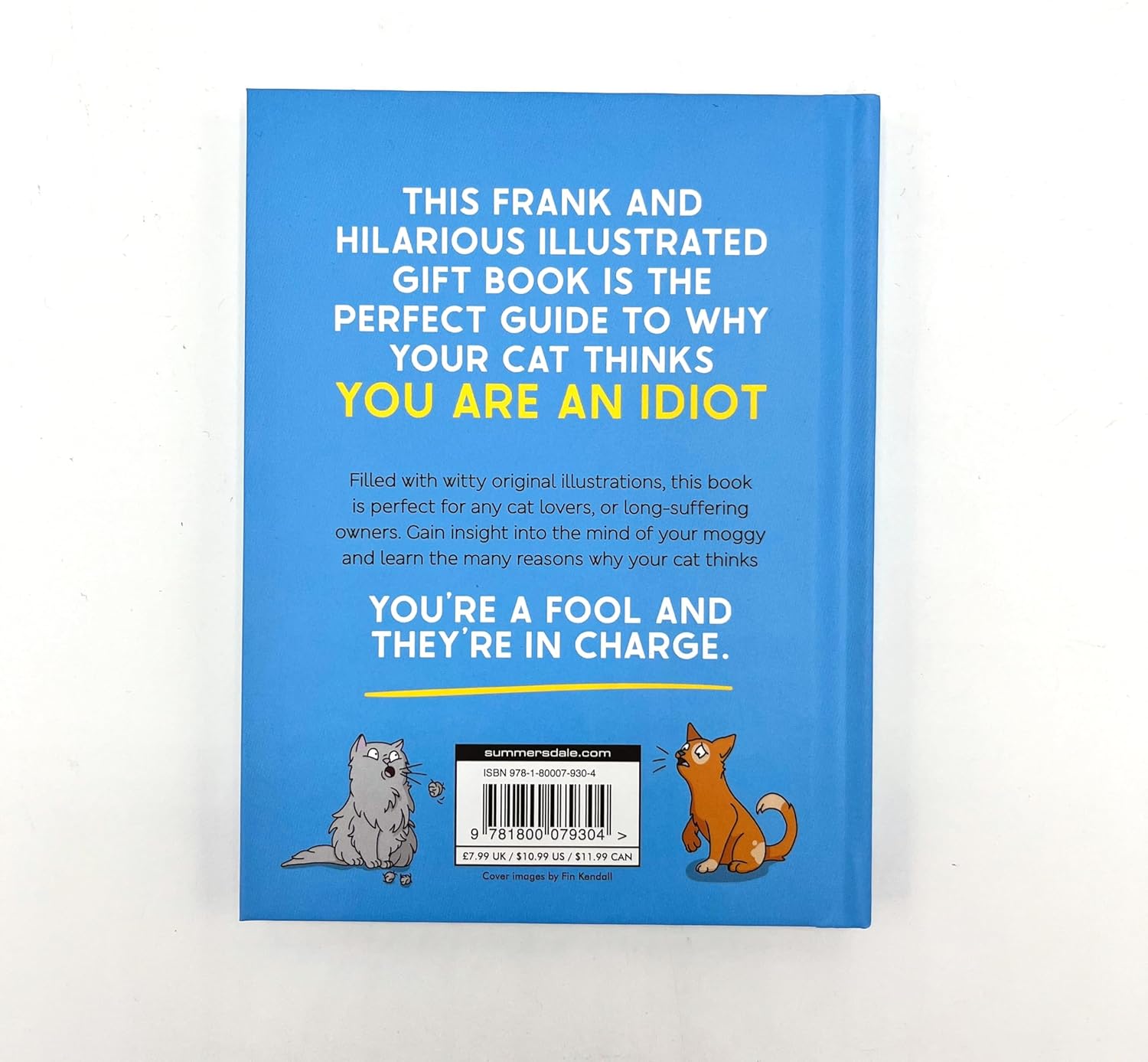 Why Your Cat Thinks You're an Idiot: The Hilarious Guide to All the Ways Your Cat is Judging You - Image 5