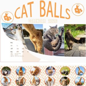 2026 Cat Balls Calendar,12 Monthly Funny Cats 11.8″ x 8.3″, Christmas Halloween Birthday Gifts Gag Quirky Novelty Calendar Gifts for Adults Best Friends Coworkers