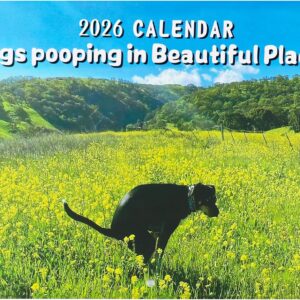 UptVin Dogs Pooping Calendar 2026, Dogs Pooping in Beautiful Places 2026 Humor Funny Wall Calendar for Dog Lovers Gag Gift for Birthdays, Christmas Special Occasions
