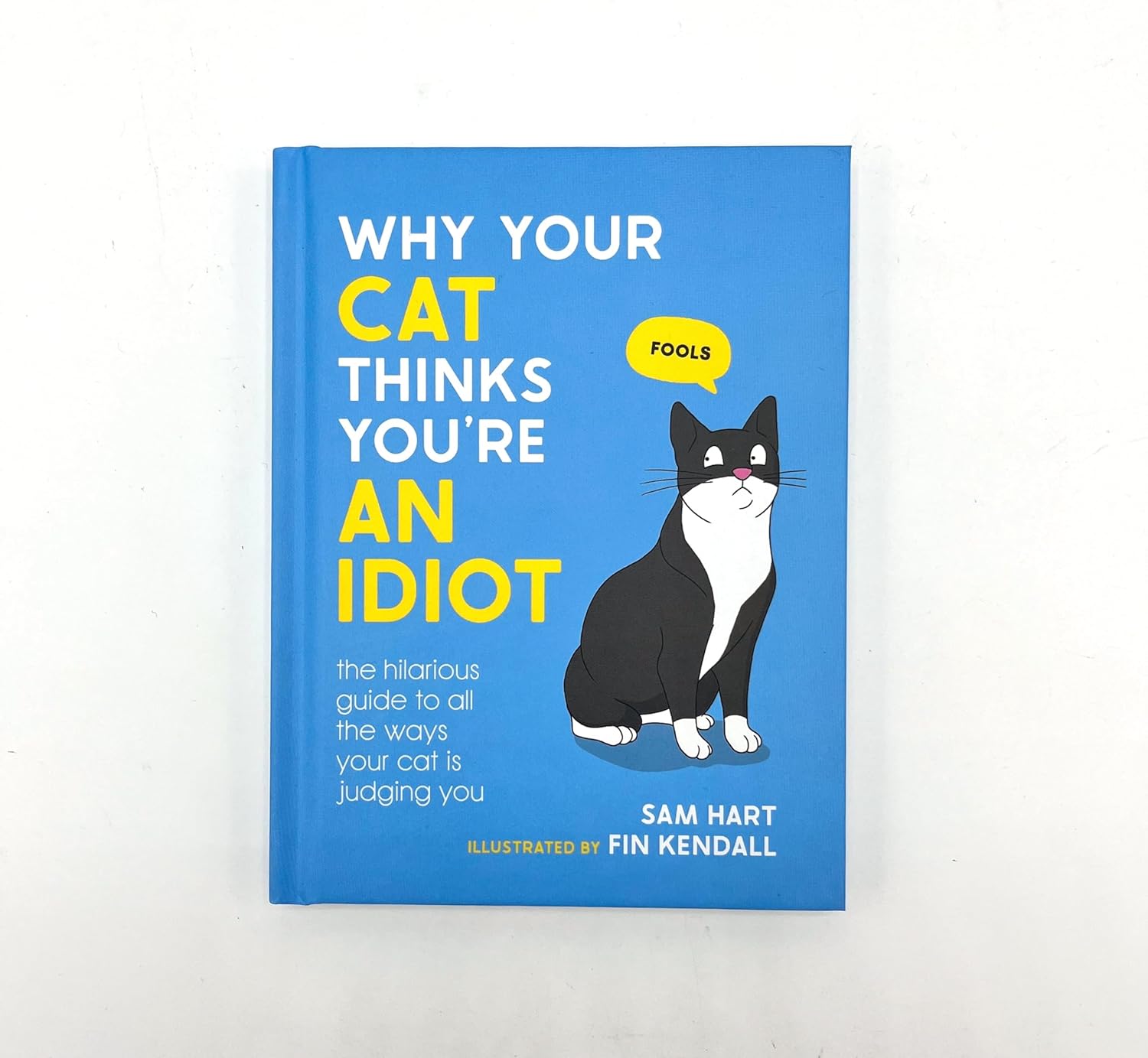 Why Your Cat Thinks You're an Idiot: The Hilarious Guide to All the Ways Your Cat is Judging You - Image 2