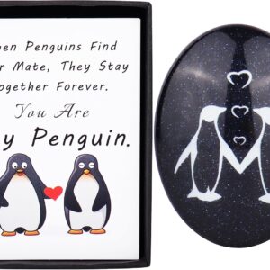 Anniversary Wedding Gifts for Him Penguin Pebble Anniversary Penguin Gifts for Her Funny Boyfriend Gifts Birthday Christmas Husband Gifts Valentines Day Gifts for Girlfriend Gifts for Wife