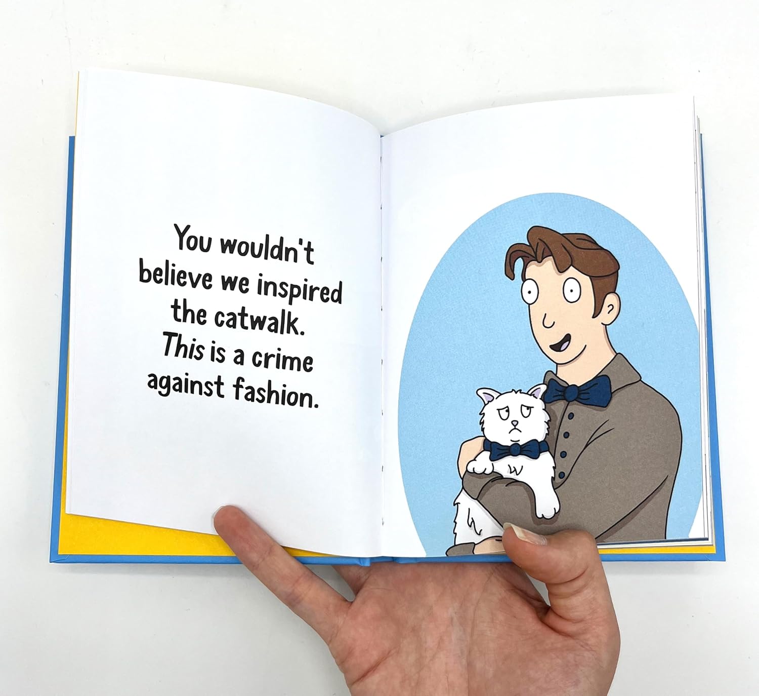 Why Your Cat Thinks You're an Idiot: The Hilarious Guide to All the Ways Your Cat is Judging You - Image 4