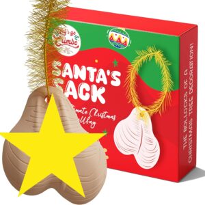 Funny Rude Christmas Tree Decoration Xmas Ornament Hanging Christmas Tree Bauble Prank Prop Gag Joke Secret Santa Gift Stocking Filler Ball Balls