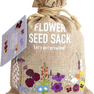Scott&Co. Flower Seed Starter Kit – 30 Different Varieties of Flower Seeds to Grow Your Own. Butterfly and Bee Attracting, for Indoor and Outdoor Growing. Gardening Gifts for Women and Men.