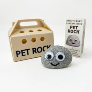 Pet Rock – Novelty Gift Idea – Ideal For Birthday Presents, Wedding Favours, Party Bags etc