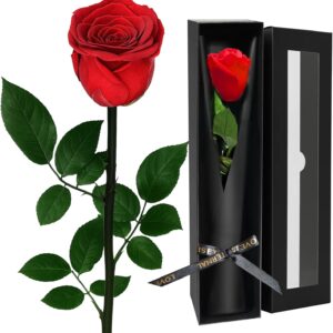 Roses Gifts for Women, Valentines Gifts for Her, Forever Rose in Gift Box – Eternal Rose Preserved Real Rose Flower, Lasts 3-5 Years, Luxury Valentines Day Gift for Wife, Girlfriend, Women