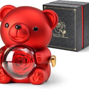 Romantic Teddy Bear with Preserved Rose – Hidden Jewelry Box and Heart-Shaped Necklace – Unique Gift for Her – Valentine’s Day, Mother’s Day, Weddings, Anniversaries, Bridal Showers (Red)